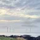 로비나발리168 | 내돈내산 제주여행/한림 오션뷰 가성비 펜션 로비나발리168 진짜 추천!!