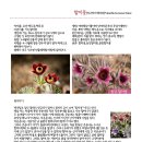 선바우농장 이미지