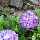 준이농장 이미지