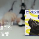 엔젤클럽 이미지