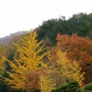 광교공원 Daum카페