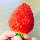 진주중부농협로컬푸드하나로마트