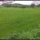 신영4리마을회관 이미지