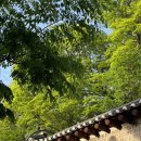 익선동B(서순라길) 네이버블로그