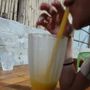 빈하우스 이미지