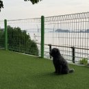하늘2(서쪽) | 태안 펜션 추천 안면도 오션뷰 숙소 서쪽하늘펜션 갯벌체험까지