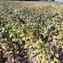 화순중앙병원 이미지