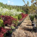 조경농장 이미지