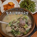 팔봉김밥 | 마산 현동 건더기가 많아 더 맛있는 팔봉 순대 돼지국밥 내돈내산 후기