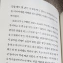 윤카페 이미지