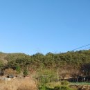 337부동산중개 이미지