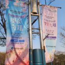 소담푸드47 | 인천대공원 벚꽃축제 실시간 후기 인천 벚꽃 명소 개화 상황 텐트 주차장