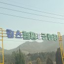 강진 | 강진글램핑장 후기｜핀란드식 사우나까지 가능한 감성 힐링 림스글램핑