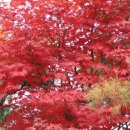 아름다운 산책 이미지