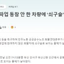 화물차량 파업 ㄷㄷㄷ 쇠구슬 탄환이 날아옴.. 이미지