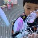 파레트팡 이미지