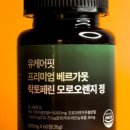 케어핏 이미지