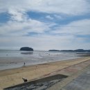 선도리 갯벌체험 1박 후기｜5살 아이와 주말 힐링 여행 장비·물때·식당 팁 총정리