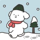 연세결성형외과의원 네이버블로그