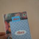 하루,한끼 | 알로라 마녀스프 원더수프일주일 건강루틴 ✨ 하루 한 끼 야채습관 미션 후기 💚