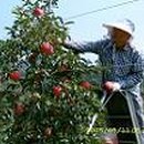 알퐁소농장 이미지