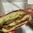 맛골진곰탕 | [롯데리아 신메뉴 | 침착맨 버거] 통다리크리스피치킨버거 파이어핫 후기