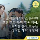 정직한 카 서비스 | 조이스테이지스 올인원 모델 오염 부위 집중 케어, 토사물 흔적 지우는 정직한 세탁 정찰제