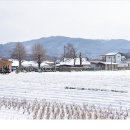 김대거 종법사 생가 이미지