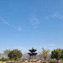 전남 구례군 서시천+섬진강대나무숲 벚꽃 트레킹/2023.4.1.토 이미지