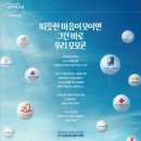 모모우라 화이트페이퍼