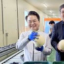 춘천원예농협 산지유통센터 이미지