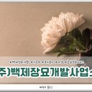 충남장묘개발주