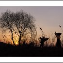 들길 따라서 이미지