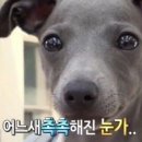 전하 태양광발전소 이미지