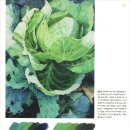 수산나 이미지