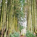 쉬리목장 이미지