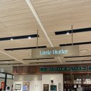 세라젬 현대백화점 대구점 | [충청/대전] 그랜드 오픈한 신세계 백화점 아트앤사이언스 후기