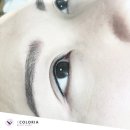 컬러리아 이미지