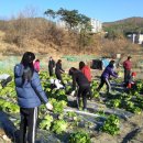 양산여자고등학교 이미지