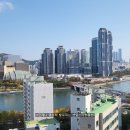 동원명품부동산공인중개사사무소 | [공지] 부산더샵센텀포레, 내가 살고 싶은 수영강뷰와 센텀시티뷰를 품은집!