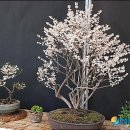 구곡영농조합법인 이미지