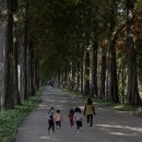 공주-03 이미지