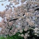 더 머물다 네이버블로그