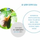 인이네웰빙나라 네이버블로그