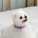 리드스튜디오 이미지