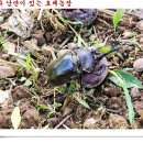 이박삼일 이미지