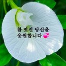 아비투스(Habitus)와 멋진 노인 이미지