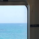 강원도 묵호 여행 친구들과 다녀온 힐링 후기 🌊