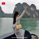 하롱베이 | 베트남 이심 하노이 하롱베이 도시락eSIM 무제한 후기!