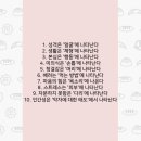 520네일 이미지